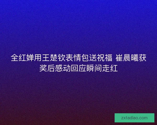 全红婵用王楚钦表情包送祝福 崔晨曦获奖后感动回应瞬间走红